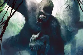 真实的金刚-乌干达银背山地大猩猩