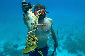 第一视角拍摄海底捕捉龙虾全过程，工具只需两根棍子一根绳