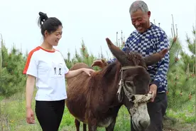 见过用牛耕地，用小毛驴耕地我还头一次见，你见过吗？视频封面