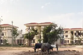 终于送出去！富豪捐2亿建别墅赠乡亲 3D揭村民为何不满意视频封面