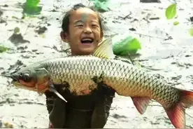 “五一”小长假广东乡村旅游热朝天，N种玩法齐搜罗！图片