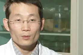 脑血栓和脑栓塞有什么区别？一种可导致重度瘫痪 你可能属于哪种