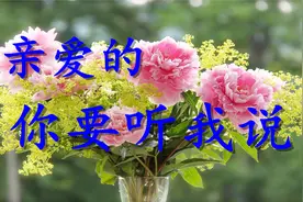 梅朵一首新歌《亲爱的你要听我说》句句入心，非常好听！视频封面