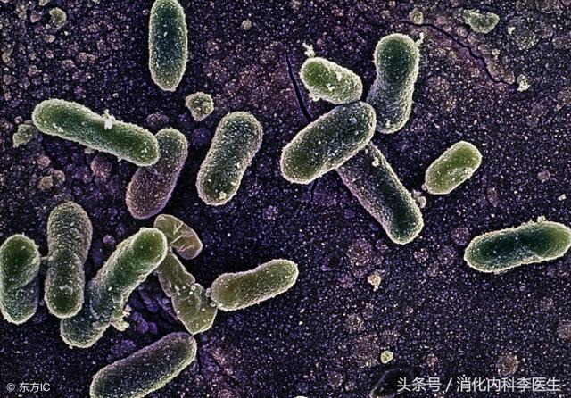 急性胃肠炎发生腹痛、呕吐、腹泻，应该怎么做？