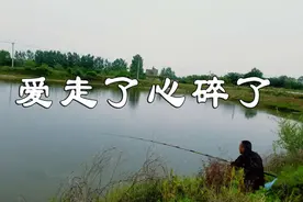 《爱走了心碎了》—孙露 演唱图片