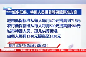 武汉城乡低保标准提高，“关系保”“人情保”将通过大数据查处视频封面