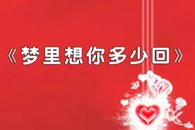 《梦里想你多少回》-雨露 演唱