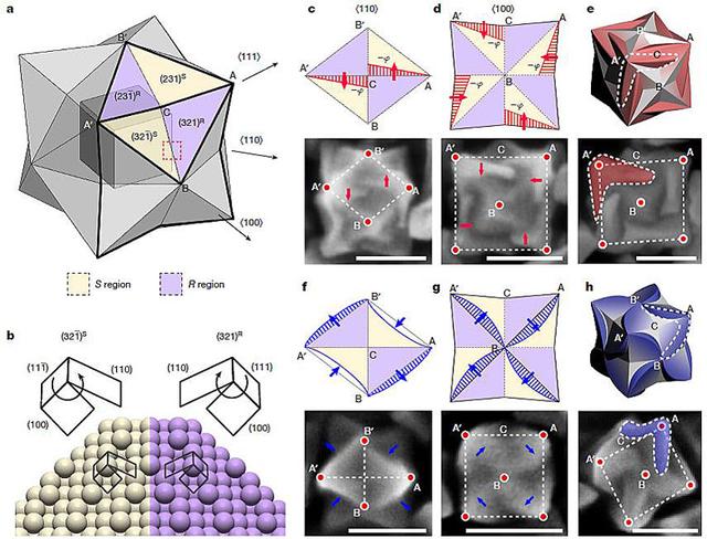 金纳米颗粒获得手性，要靠氨基酸和肽“使劲”