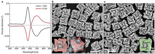 金纳米颗粒获得手性，要靠氨基酸和肽“使劲”