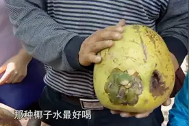 2招挑出甘甜椰子！买椰子不踩雷，只买最甜的视频封面