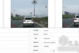 哈尔滨“随手拍”交通违法举报平台上线，每月举报奖金无上限图片