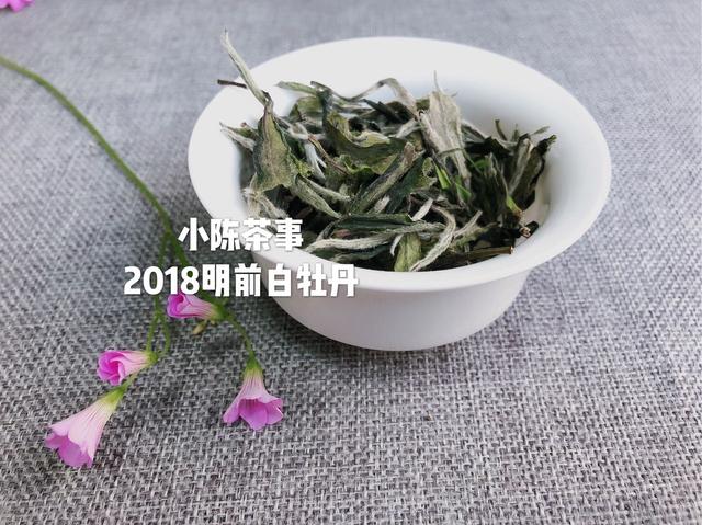 为何你泡的白茶中会出现苦味，这篇文章告诉你答案！