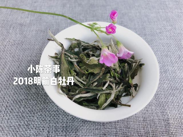 为何你泡的白茶中会出现苦味，这篇文章告诉你答案！