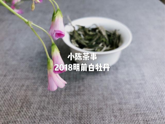 为何你泡的白茶中会出现苦味，这篇文章告诉你答案！