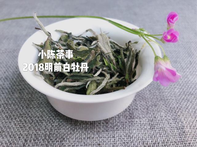为何你泡的白茶中会出现苦味，这篇文章告诉你答案！