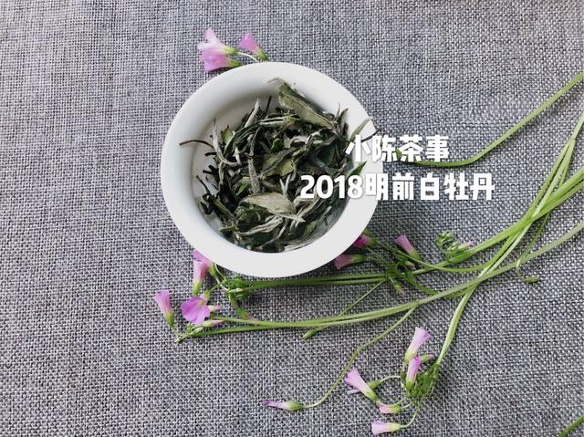 为何你泡的白茶中会出现苦味，这篇文章告诉你答案！