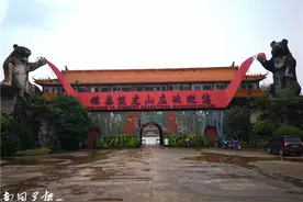 吓人！桂林发生老虎咬死人事件，被咬者是一名50多岁的男饲养员图片