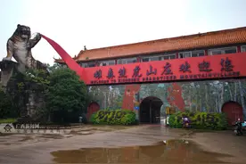 最新进展！桂林雄森熊虎山庄发生老虎伤人事件 该山庄已有计划搬迁图片
