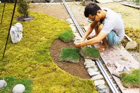 农村就地取材自制草地景观！这种搭配效果！大家觉得行么？