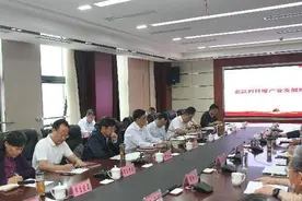 郭亨孝带队调研玄武岩纤维产业发展及“两车”项目建设推进情况图片