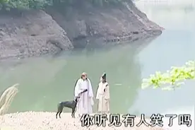 这是我见过最还原的哮天犬，那些那用哈士奇cos狼的，学学吧视频封面