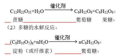 「学霸养成」RJ高中化学必修二第17讲—基本营养物质