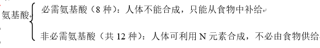 「学霸养成」RJ高中化学必修二第17讲—基本营养物质