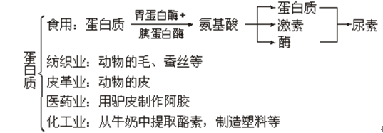 「学霸养成」RJ高中化学必修二第17讲—基本营养物质