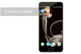 手机迅雷下载的文件在哪个文件夹？