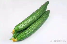“涉毒”蔬菜传闻真假“琅琊榜”图片