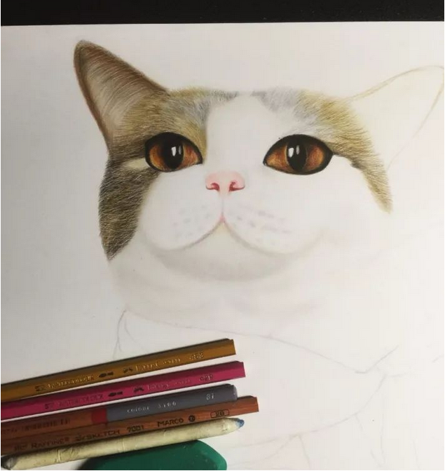 猫咪绘画教程:只需要8步,教你画出一只可爱的小猫咪