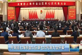 共青团上海市金山区第七次代表大会开幕视频封面
