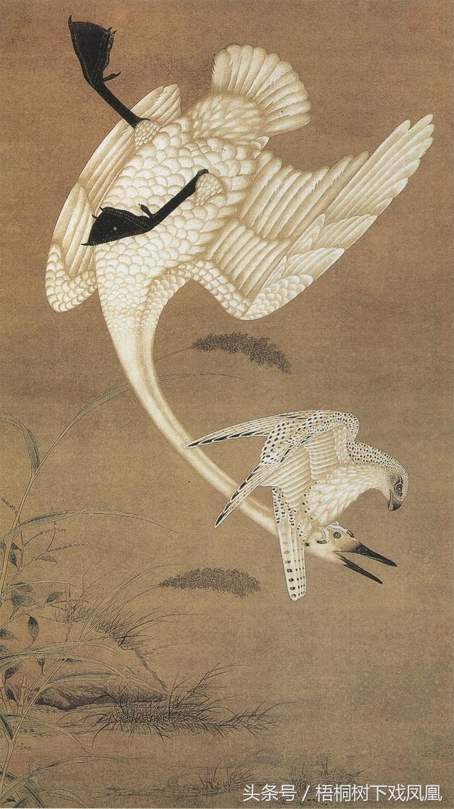 大雁是天鹅吗（鸿雁是一只鸟还是两只鸟对这个问题）