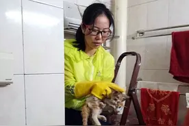 小猫掉进居民楼十多米深排烟管道·爱心姐巧制网兜救出“猫坚强”图片