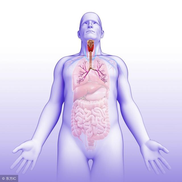 常用的祛痰药有这些，吃过的来数数