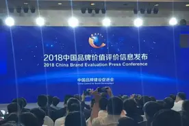 2018年中国品牌价值评价信息发布 亚宝药业榜上有名图片