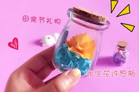手工DIY永生花许愿瓶，家里都有的材料，母亲节送给妈妈的礼物视频封面