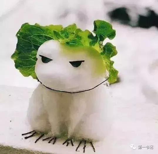 用一颗“硬蛋”告诉你这个村子的真相……