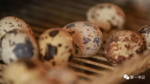 用一颗“硬蛋”告诉你这个村子的真相……