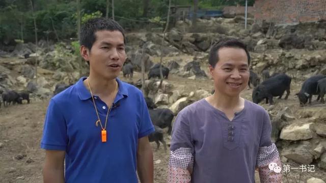 用一颗“硬蛋”告诉你这个村子的真相……