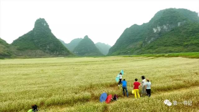 用一颗“硬蛋”告诉你这个村子的真相……