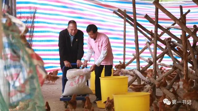 用一颗“硬蛋”告诉你这个村子的真相……