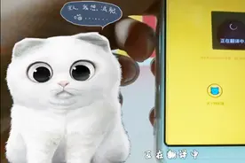 能将人话翻译成猫语的小程序，和小宠物交流没障碍，很好玩哦视频封面