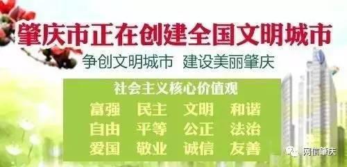 肇庆党建迈入智慧云时代——肇庆市“智慧党建”平台建设情况综述
