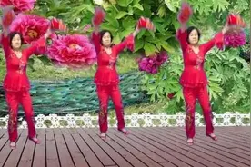 轻舞飞扬广场舞《财神驾到》手绢舞视频封面
