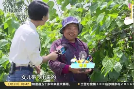 周末啦！五月桑葚“赛人参” 自己采摘更鲜甜视频封面
