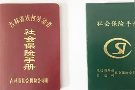 农村社保如果每年交100元，15年后可领到多少养老金，你愿意交吗视频封面