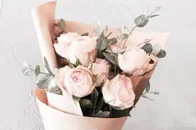 3DMAX花瓶制作~（2）视频封面