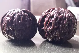 文玩核桃盘黑了怎么办？越盘越黑怎么处理