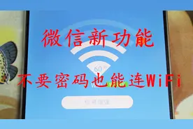 万能钥匙连不上？这个功能可以让密码自动显示，2秒就能连接WiFi视频封面